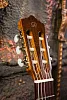 Perez 610 Cedar Гитара классическая-3