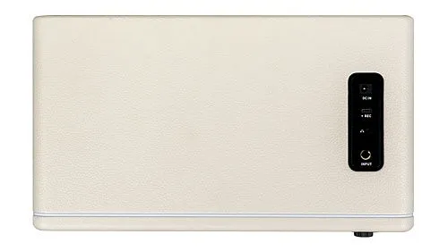 Mooer DH30i WH Моделирующий гитарный комбоусилитель.